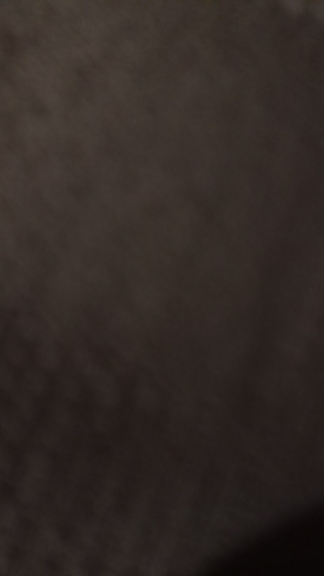 Promo Stek Batang Gedi. Pepaya Jepang Per 1 Tangkai