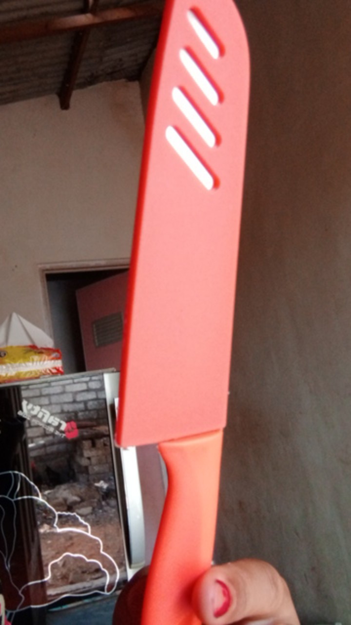 Pisau Buah Cover - Pisau Dapur Cover Stainless Ukuran 23 Cm