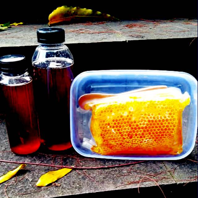

Madu hutan murni & sarang madu .