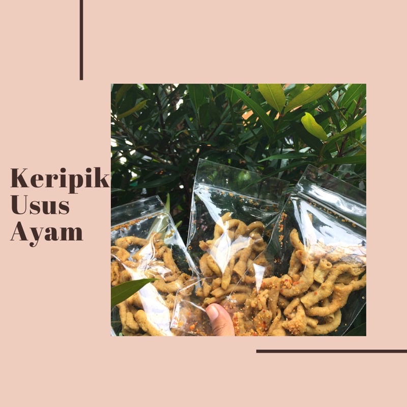 

kripsus