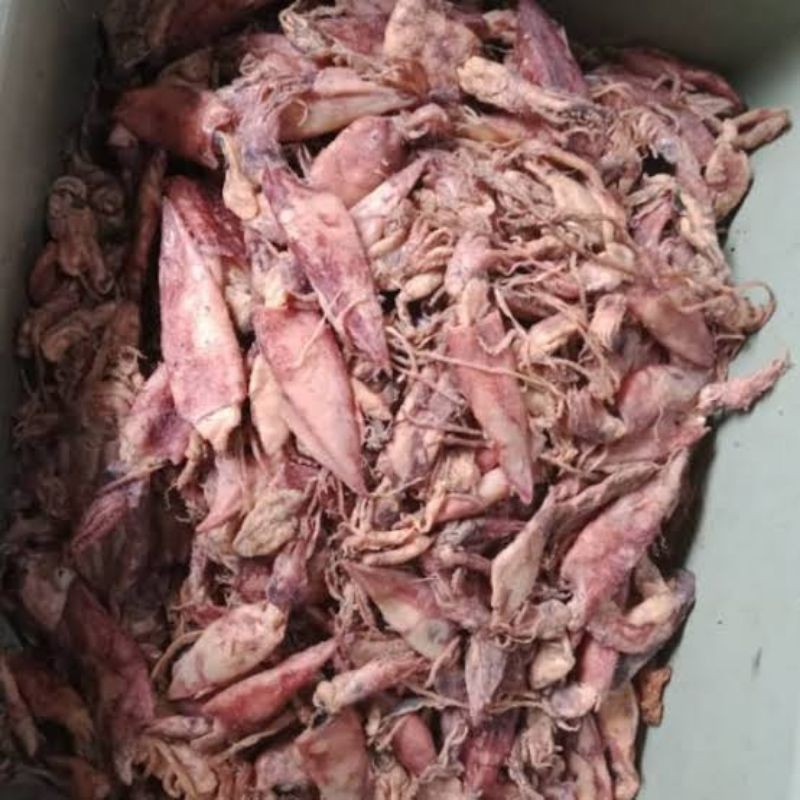 

ikan cumi kering asin kualitas super, fresh dan baru