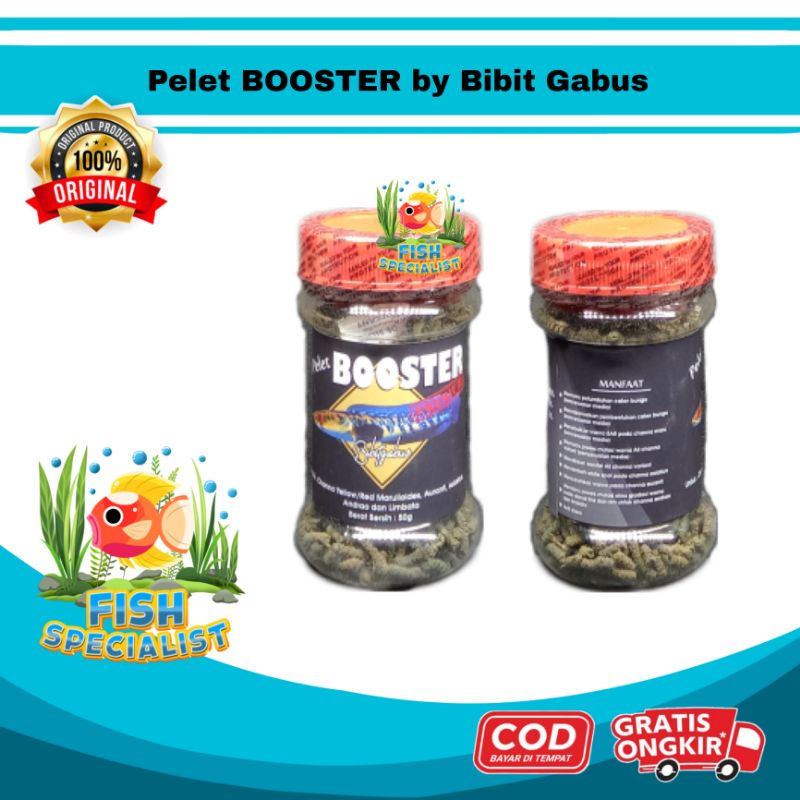 Pelet BOOSTER by Bibit Gabus - Pakan Ikan Channa Maru Red Yellow Auranti Limbata Andrao