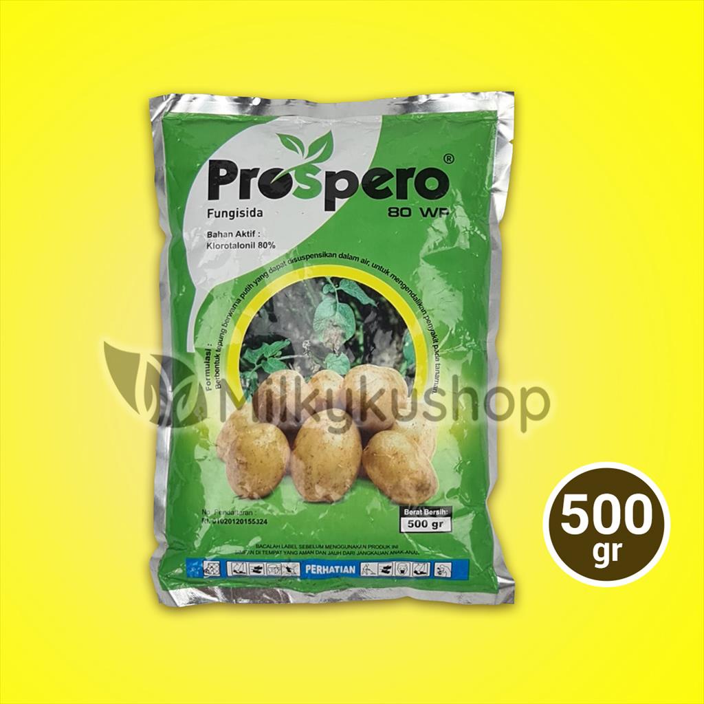 PROSPERO 80 WP 500 GRAM FUNGISIDA