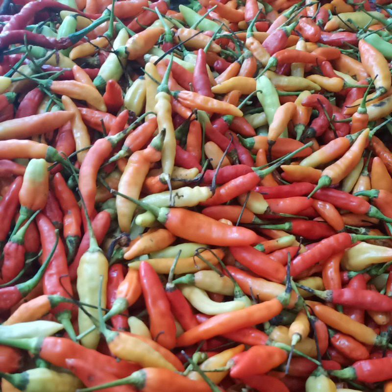 

1kg rawit merah