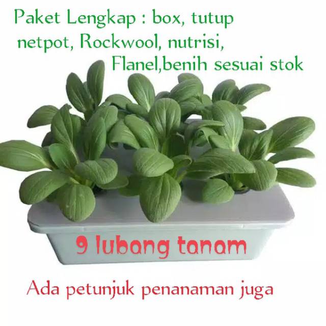 Starter kit hidroponik pemula