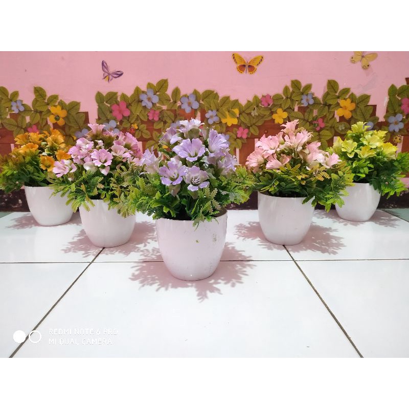 Bonsai Bunga lily besar/Bonsai murah/Bonsai imut/bonsai lucu