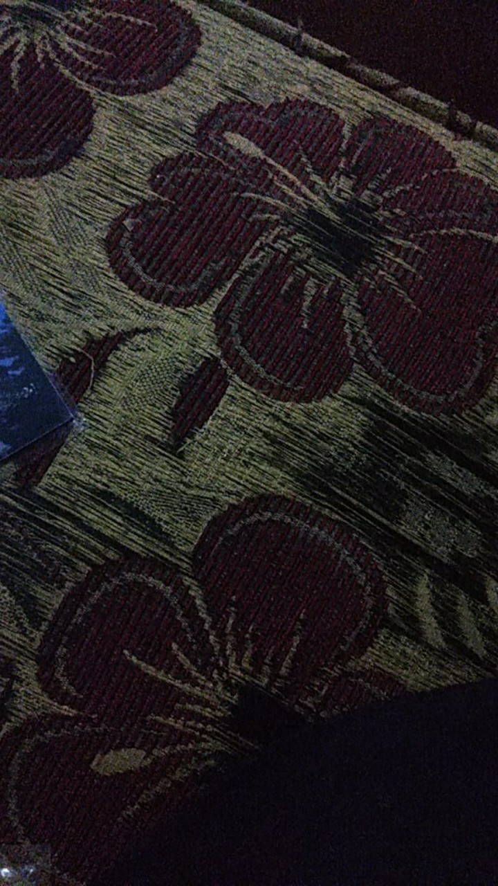 Meth Xy1163 Cute Animal N Tree Wallsticker 2x60x90