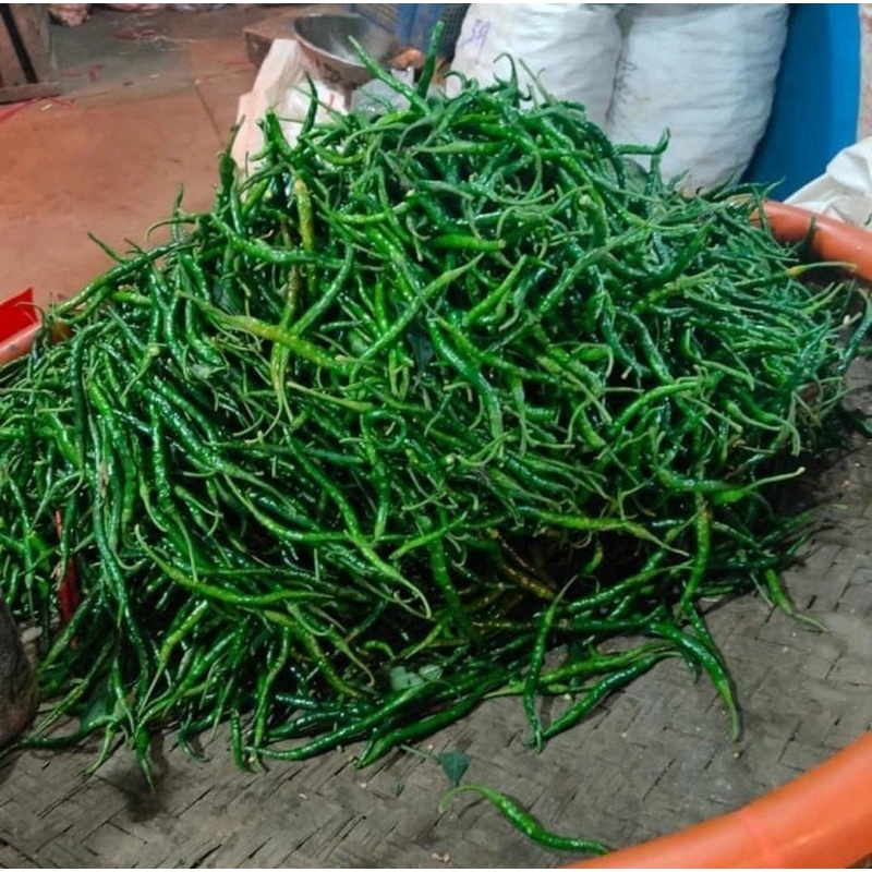 

cabe hijau keriting