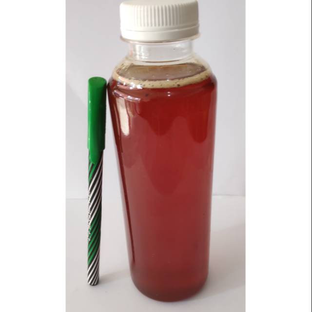 

madu hutan murni 300 gram