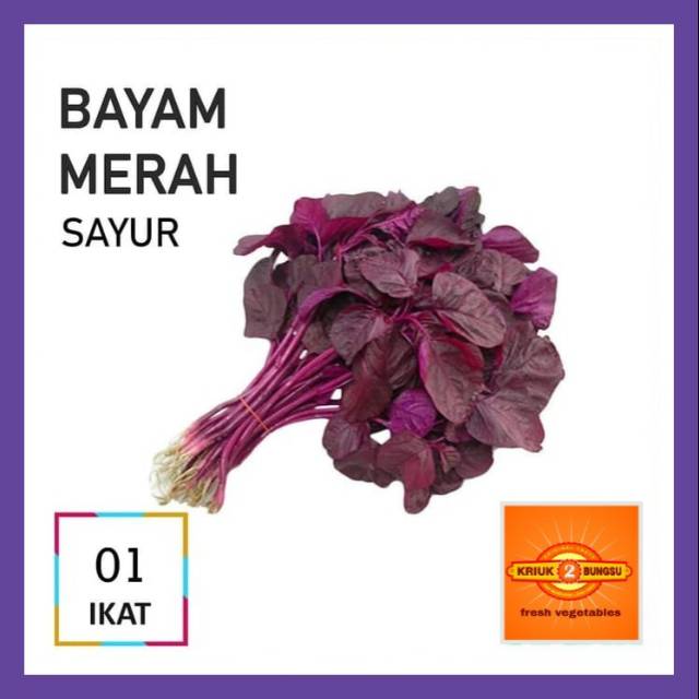 

Bayam merah / red popeye