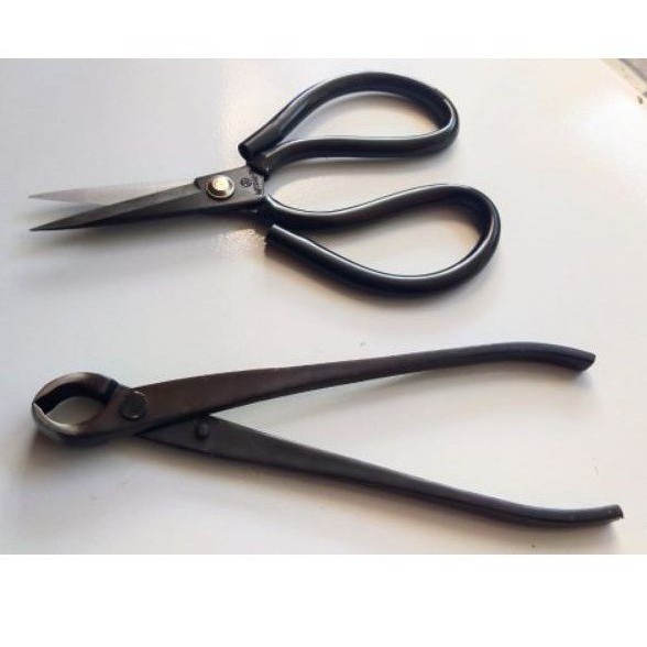 CATOK BONSAI MURAH GRATIS GUNTING