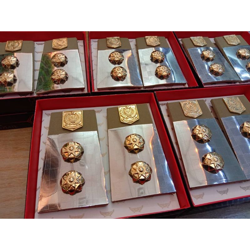 pangkat wakil walikota pangkat wakil bupati