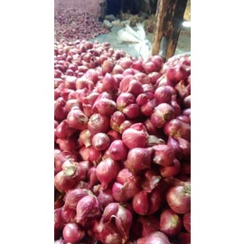 

Bawang merah fress sumatra barat