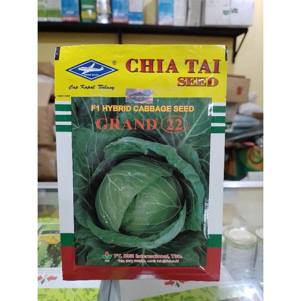 Benih Kubis F1 Hybrid cabbage seed GRAND 22