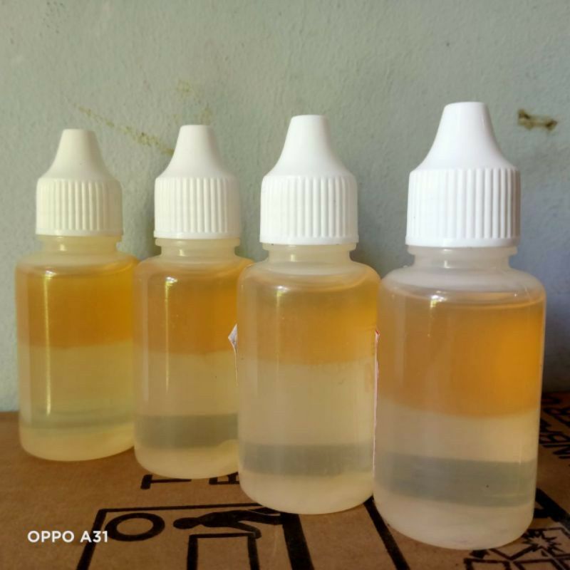 essen micro cacing khusus lele