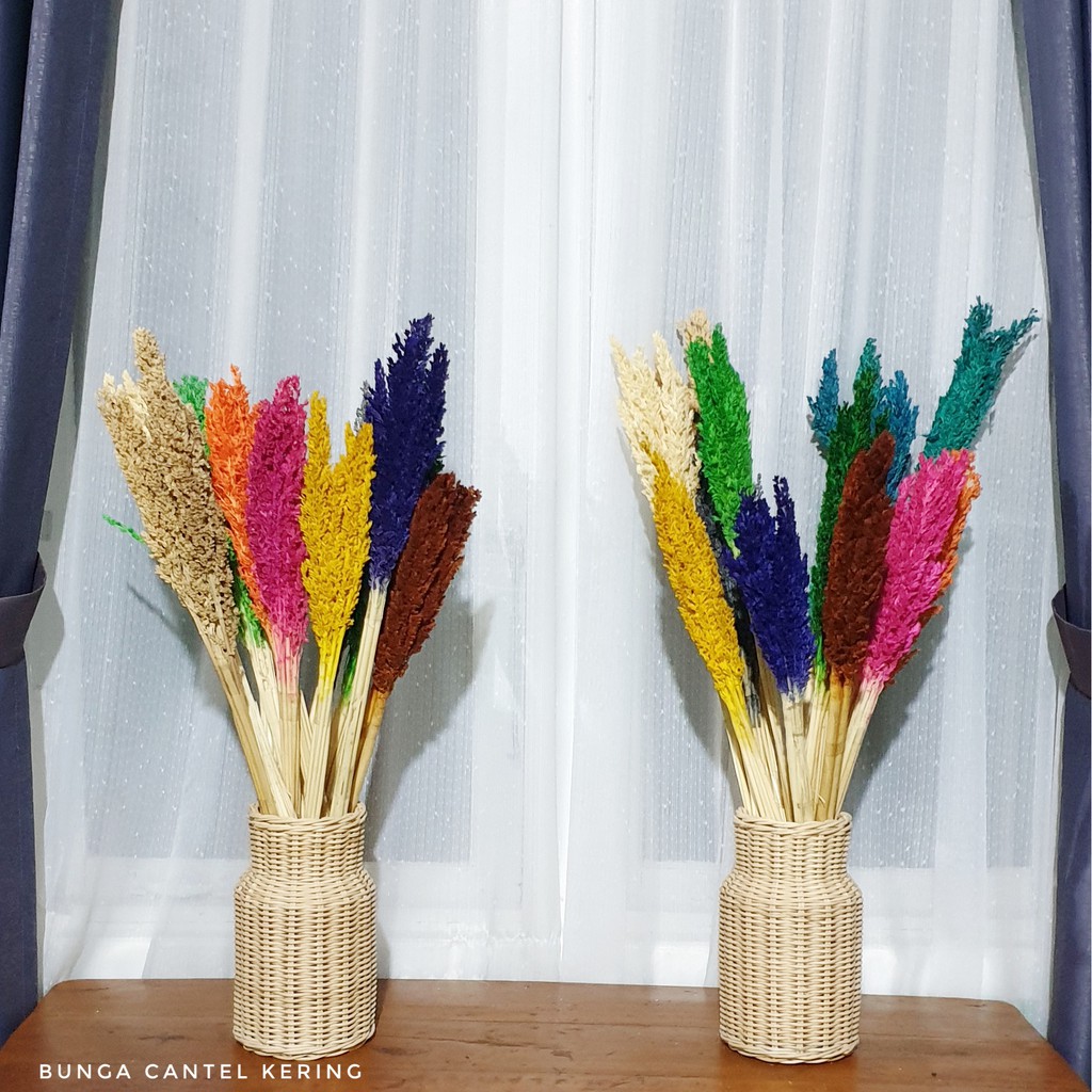 Dekorasi Naturalan Bunga Cantel Kering Warna Warni Dekorasi Naturalan Bunga Cantel Kering Warna Warni