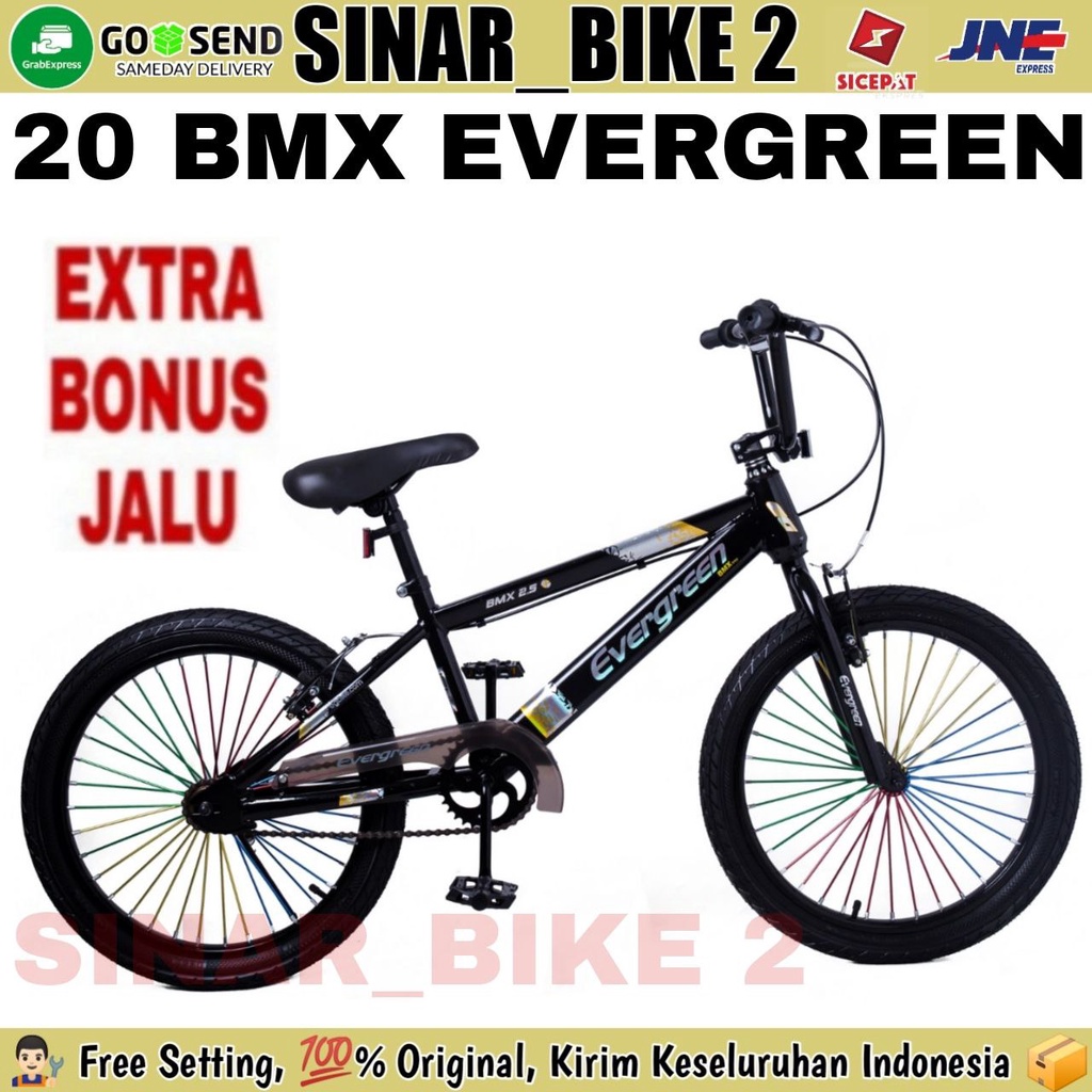 Sepeda Anak Laki BMX 20 Inch Evergreen B2 Ban 2.50