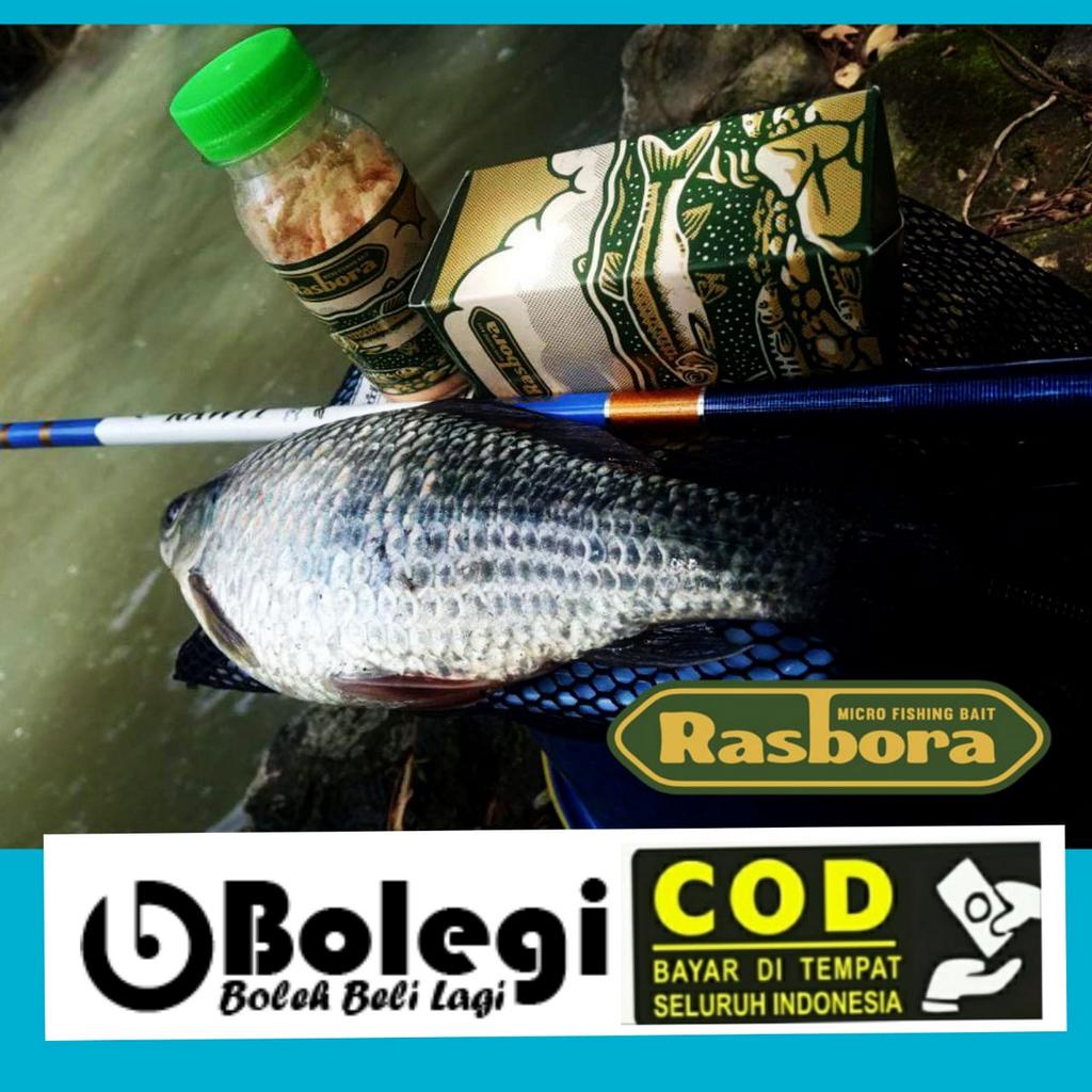 UMPAN RASBORA ( UMPAN SUPER IKAN KALI ) PANCING