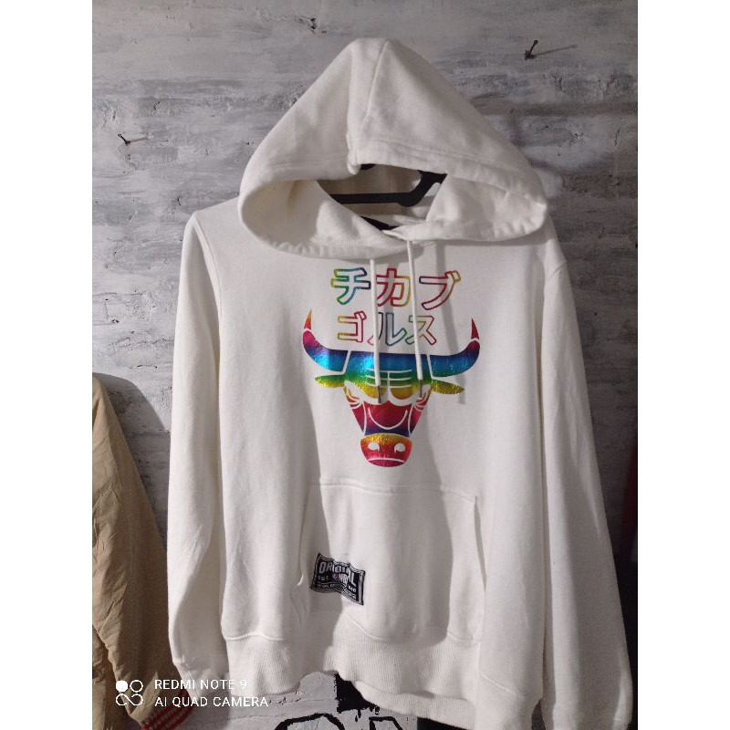 Hoodie Chicago Bulls Rainbow