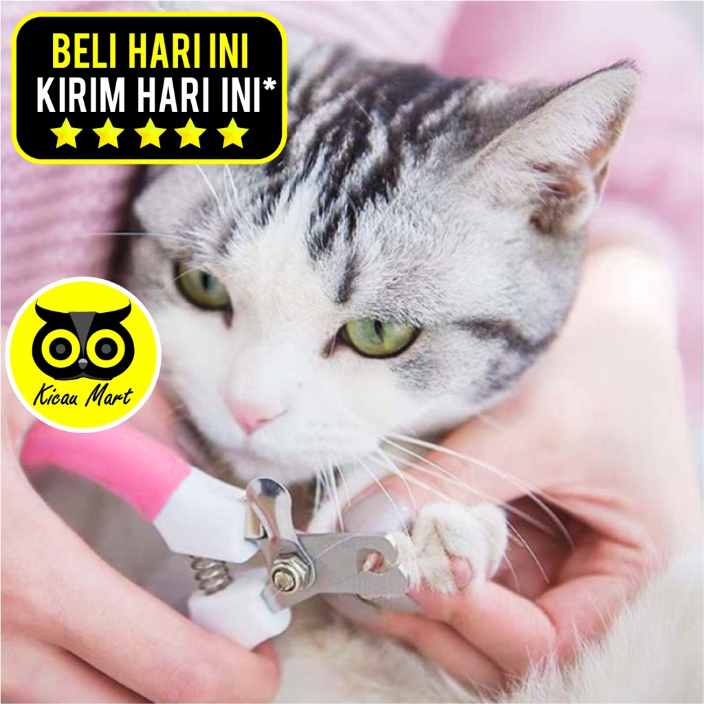 ALAT POTONG KUKU KUCING 1 SET GUNTING KIKIR KUKU KUCING ANJING KELINCI HAMSTER MUSANG PET NAIL CLIPPER ANABUL KITTEN CAT DOG NAIL CLIP