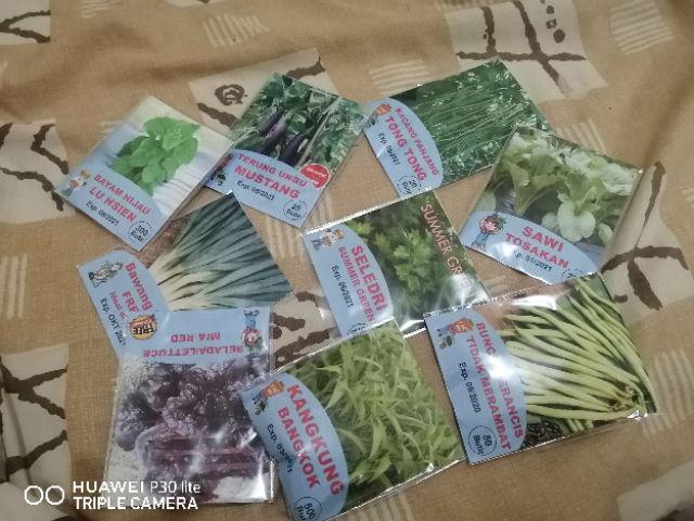 Benih Biji Bibit Buncis Tidak Merambat