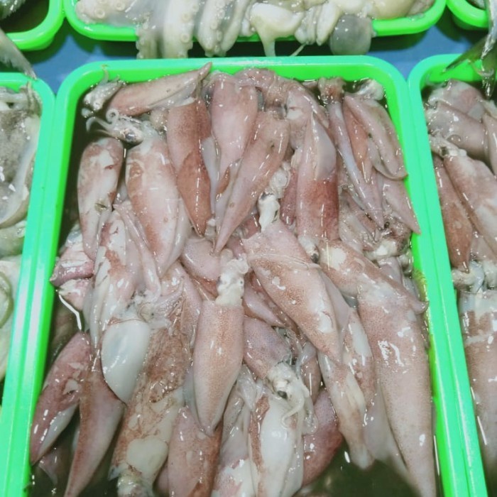 

Cumi kecil 1kg (1000g)