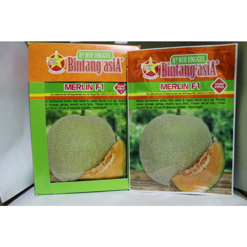 Benih Citra Asia Melon Merlin F1