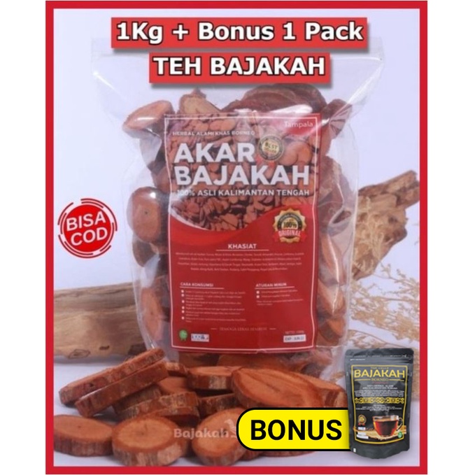 [TERLARIS] 1Kg Akar Kayu BAJAKAH TAMPALA MERAH Siap Seduh Obat Tumor dan Kanker (100% ORIGINAL) Asli Kalimantan - BONUS 1BUNGKUS Teh BAJAKAH