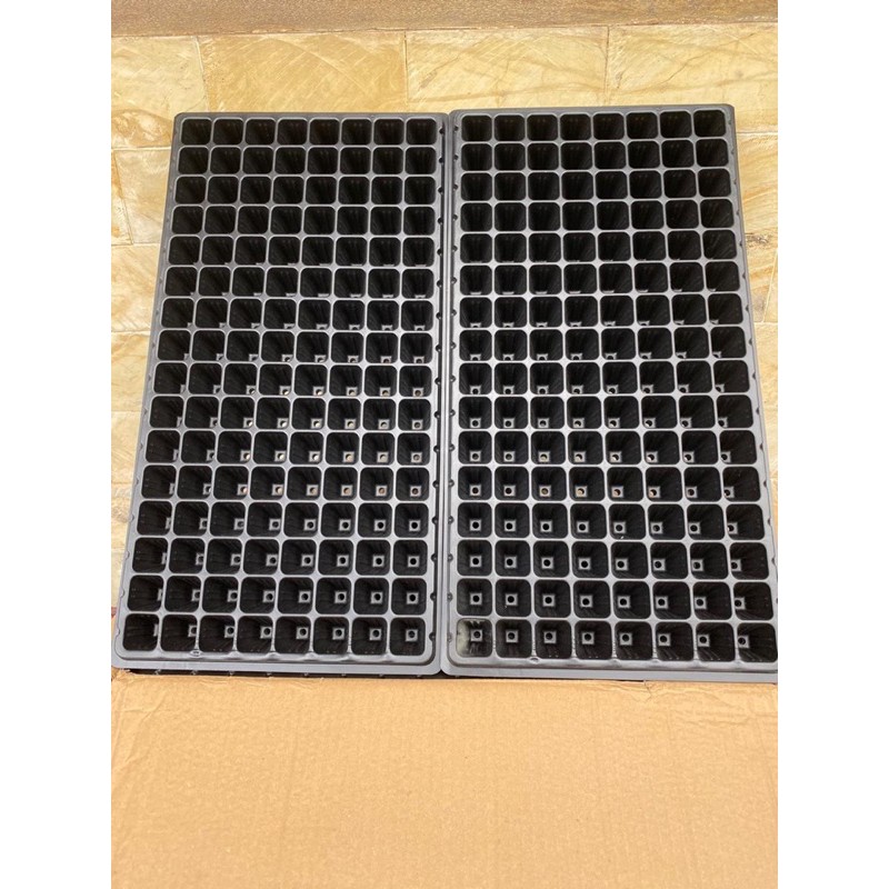 tray semai / pot tray semai 128