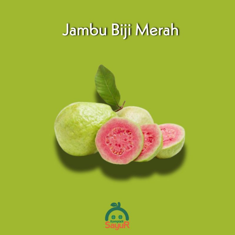 

Buah Jambu Batu / Jambu Kelutuk Biji Merah Segar