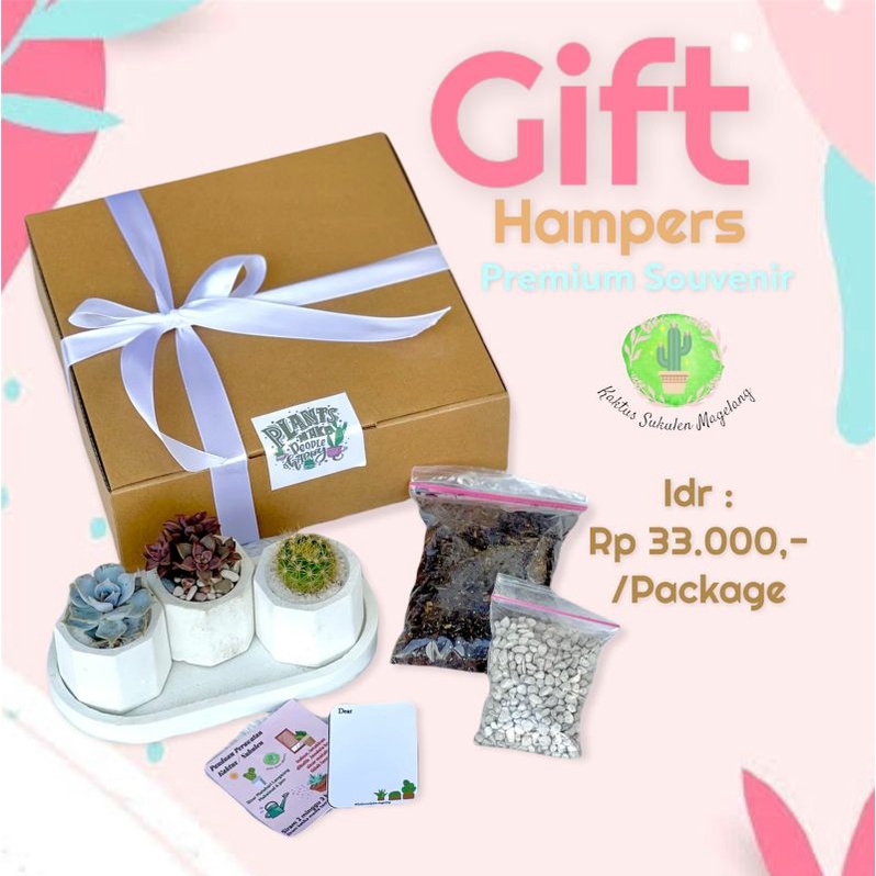 Kado Hamper Wisuda Gift Box Kaktus Sukulen 3pcs Free Pot Semen Tatakan Mefia Tanam Batu Hias