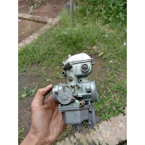 karbu tiger skep - tampilan standart seperti ori