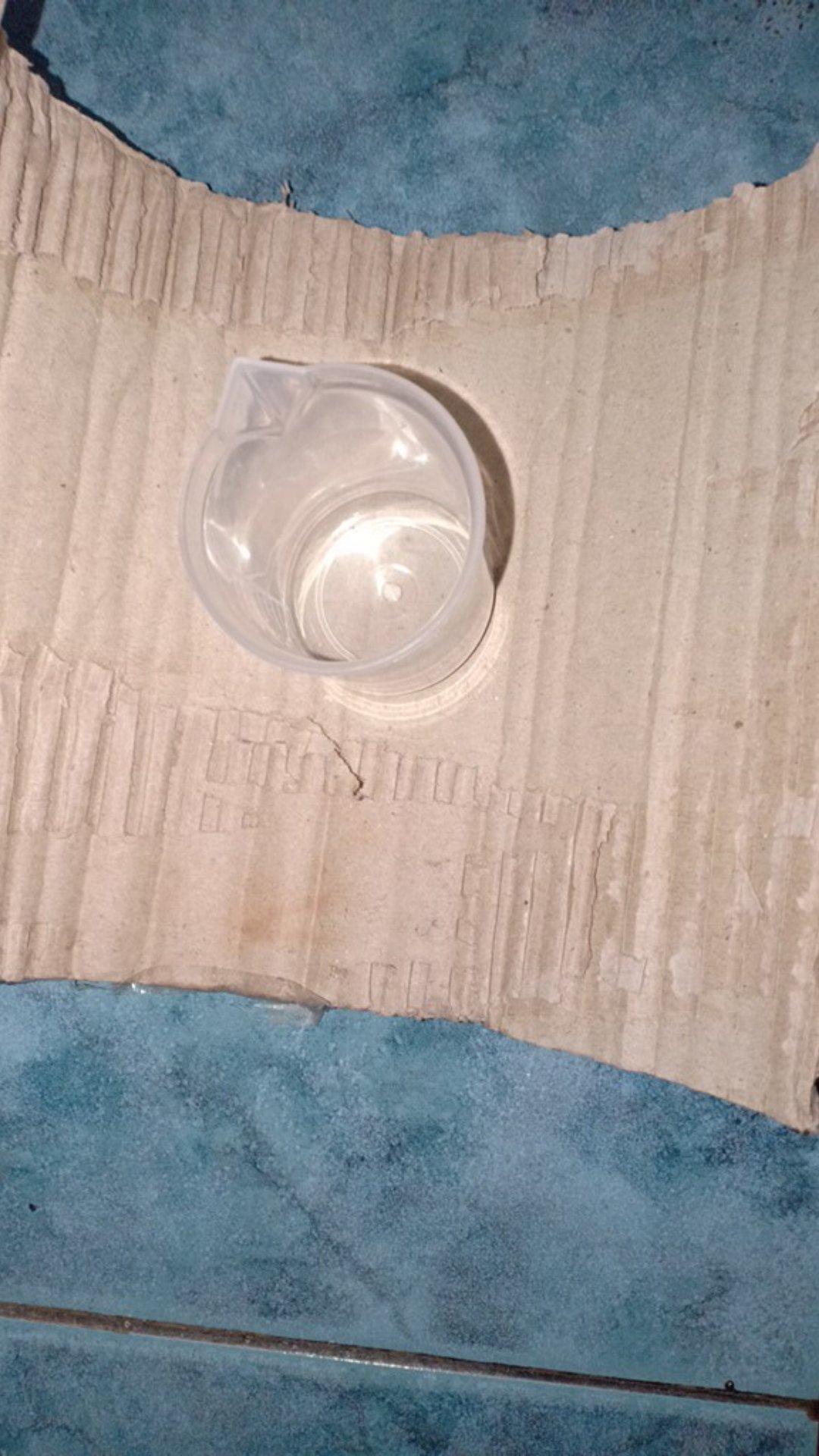 Gelas Takar 50ml Gelas Ukur Plastik Mini Transparan