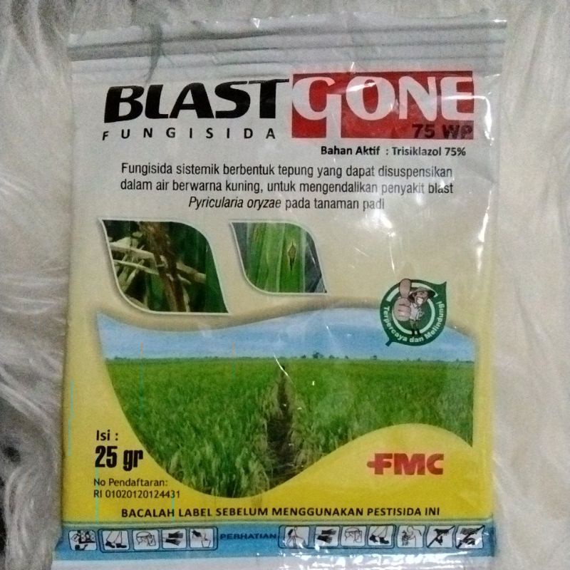 Fungisida Blastgone 75wp 25gr