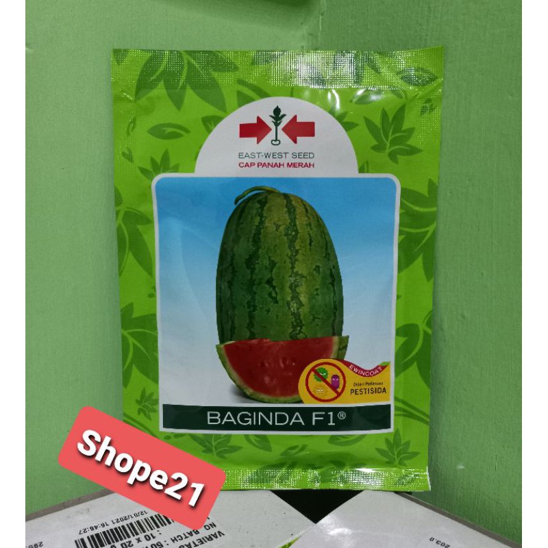 Benih Semangka Baginda f1 isi 380 biji