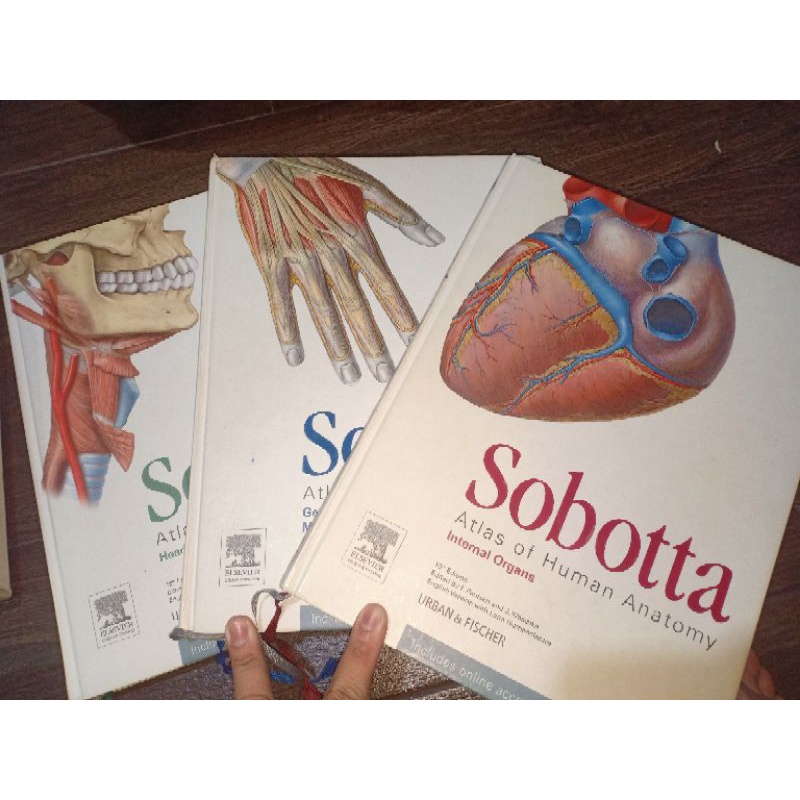 Sobotta Edisi 15 Bahasa Inggris (Preloved)