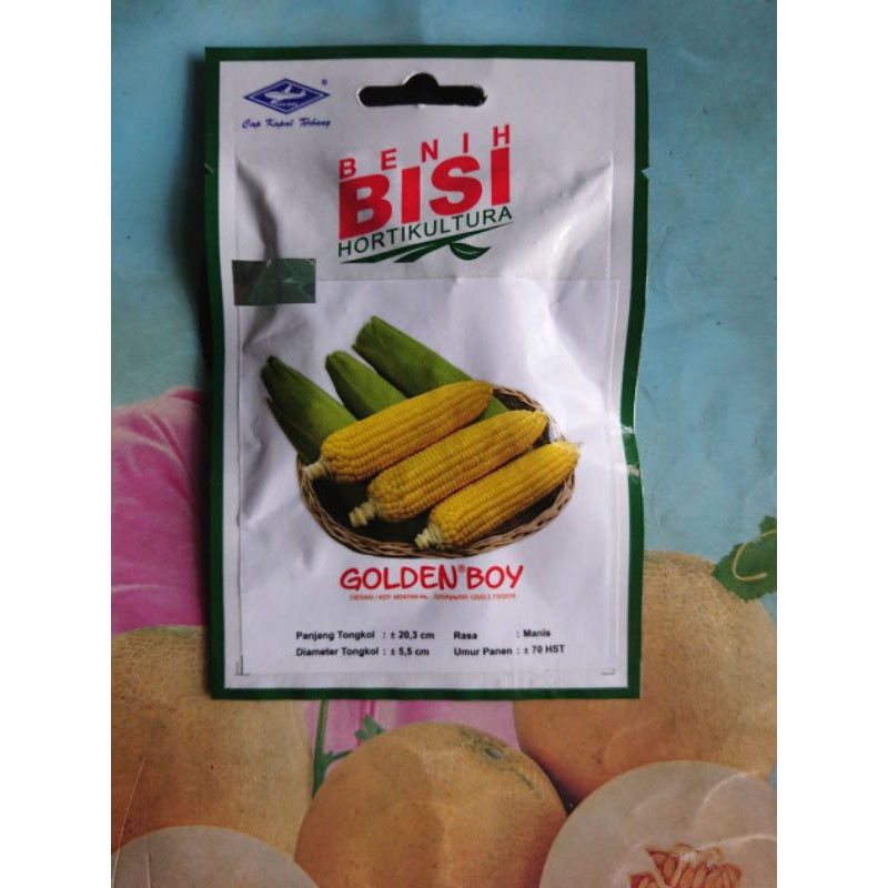 Benih Bibit Jagung Manis GOLDEN BOY 50biji