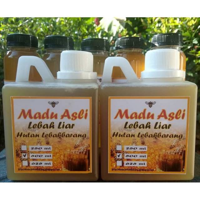 

KOLEBA | Madu Liar Hutan Pekalongan (desa lebakbarang)