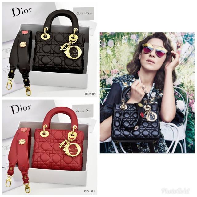 Bag Dior mini GHW 101