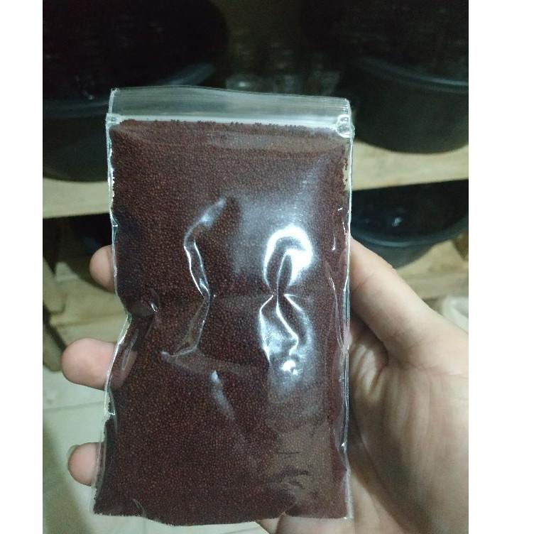 ➷ 100gr Pelet Ikan Hias Plasma Cacing Sutra ukuran 300-500 micro makanan ikan cupang,guppy,platy,mol