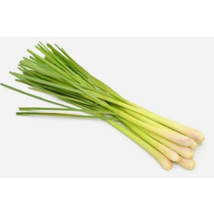 

Daun Sereh Besar 1 kg Fresh