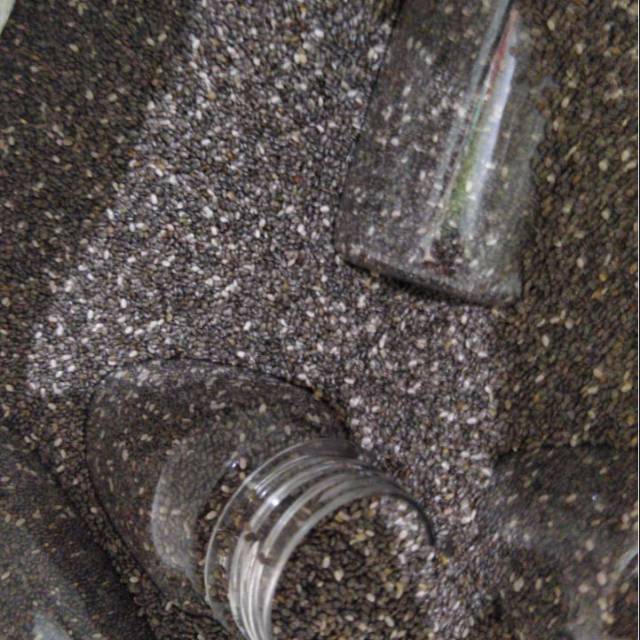 

Chia seed