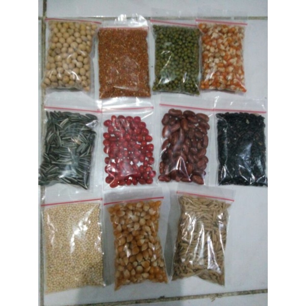 biji bijian bahan Paket Biji-bijian Campuran untuk Bahan Kerajinan Prakarya Sekolah bahan kerajinan 