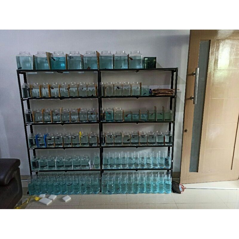 RAK CUPANG BONGKAR PASANG 5SUSUN 200X20X165 (COSTUM CHAT) PENYANGGA DILASS FULL