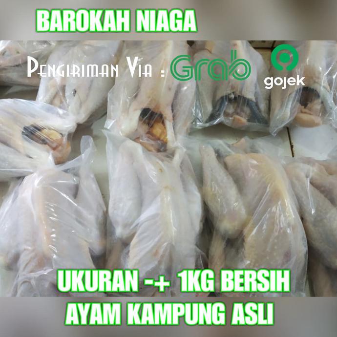 

[[BISA COD]] AYAM KAMPUNG ASLI UKURAN BERSIH 1kg COCOK UNTUK USAHA KULINER