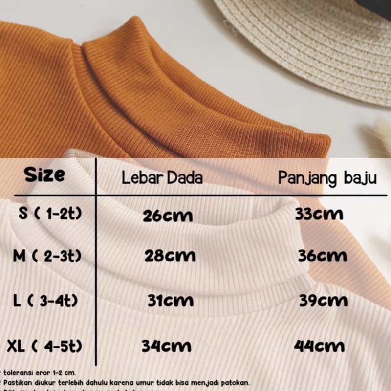 Kai Top Turtleneck Shirt