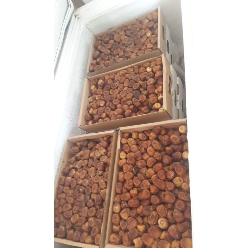 

Kurma Sukari Al Qasim