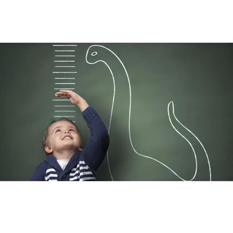 

[COD] PENINGGI badan anak 1-14 tahun naik sampai ( 5 CM 10 hari ) || 1 NHCP anak & ZINC WnQ Limited Edition