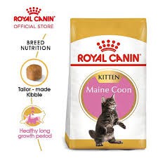 Royal Canin Kitten Maincoon 2kg / RC KITTEN
