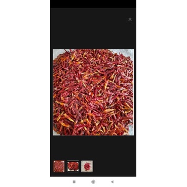 

cengek japlak kering 500 grm cabe kelud cabe keriting tanjung kering
